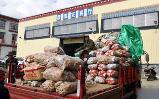 西藏最大农批市场 400多亩占地，架起高原农副产品购销金桥