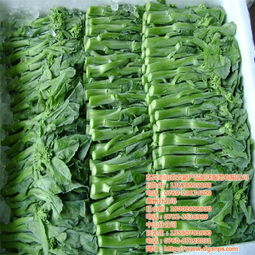 东莞送菜公司服务解析 山农农副产品配送如何成为优质商家典范