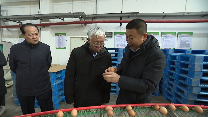 兰州市人大常委会主任周学海赴榆中县调研 聚焦乡村振兴与春耕备耕 助力农副产品购销畅通