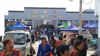 苏巷农副产品交易市场投入运营 开启农副产品购销新篇章