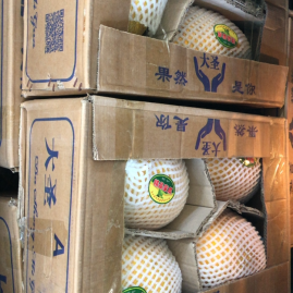 山东菏泽成武县苹果、葡萄、花生、香菜、桃、鲜枣、甜瓜、哈密瓜鑫香玉农副产品购销种植基地_地址_产地货源