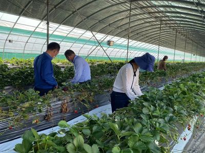 盐都农业农村系统发力“三条主线”彰显战“疫”担当 保障农副产品购销畅通