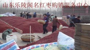 乐陵原枣优质供应，专业购销服务，助力农副产品流通